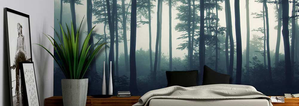 Forest Photo Wallpaper Mural for Bedroom - Large selection of Photo Wallpaper