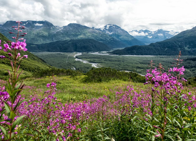 Buy Landscapes wall murals & wallpaper Alaska Scenery Mountains Grasslands Seward Art. No: 10000018383