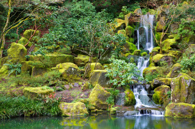 Asian Garden Waterfall Flowing Into A Still Pond