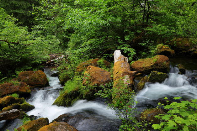 USA Waterfalls Stones North Umpqua River Oregon