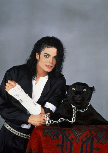 Michel Jackson And Panther