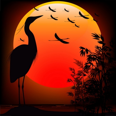 Birds At Sunset 009