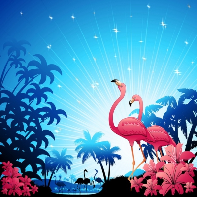 Flamingo 015