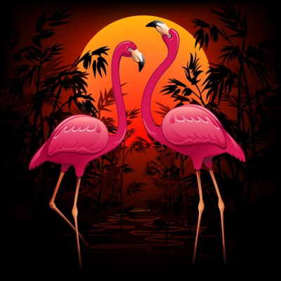Flamingo 018