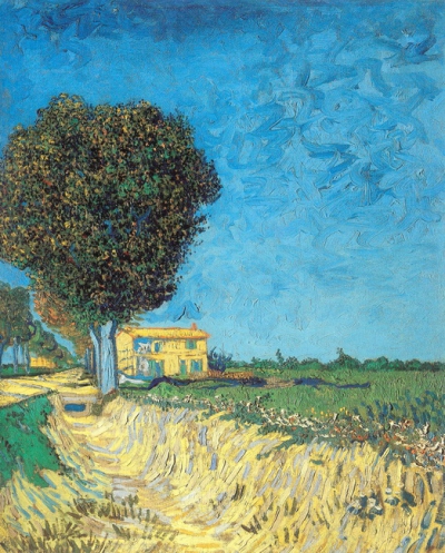 Lane Near Arles (Side Of A Country Lane), 1888