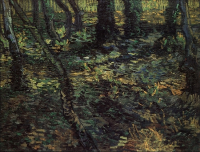 Undergrowth With Ivy, 1889
