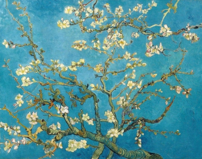 Almond Branches In Bloom, San Remy, C.1890