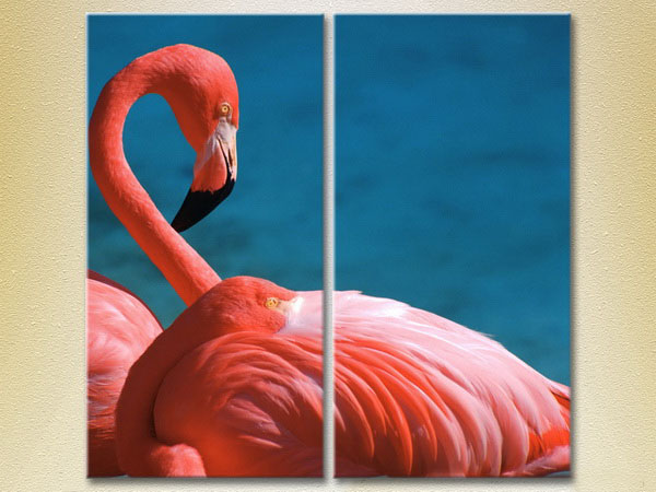 Pink Flamingos2