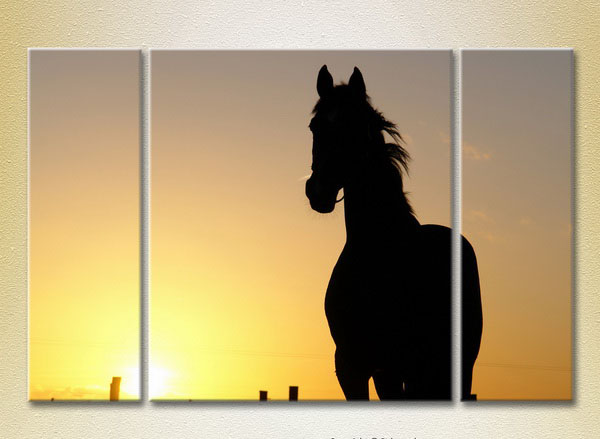 Silhouette Of A Horse At Sunset3