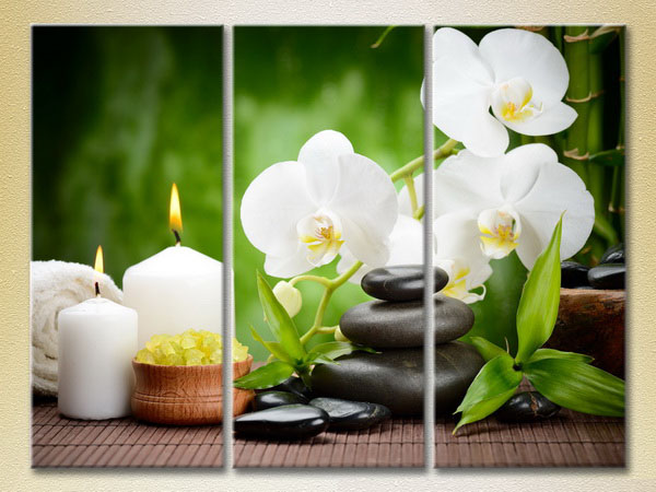 White Orchid And Bamboo3