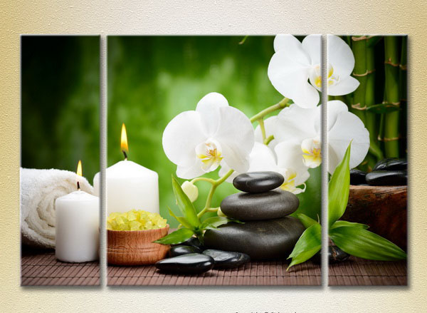 White Orchid And Bamboo23