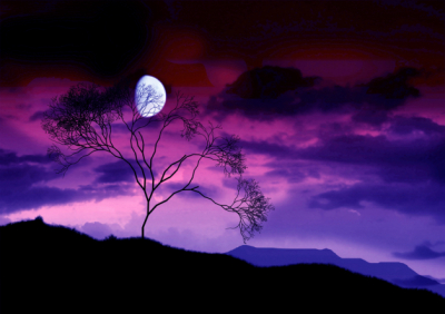 Buy Landscapes Art Decor Night Moon Clouds Trees Art. No: 10000018665