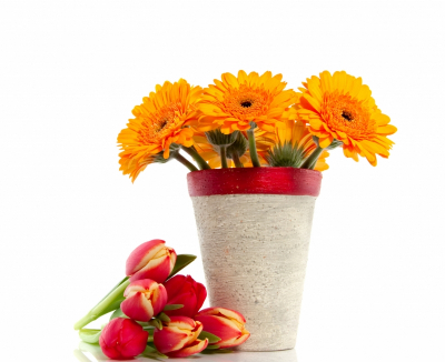 Gerber Art & Photo Prints Orange Gerberas and Red Tulips Art. No: 10000007409