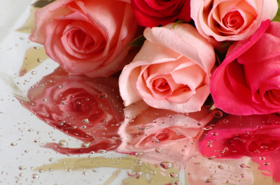 Roses Art Decor for Home Red Roses On Wet Glass Art. No: 10000007439
