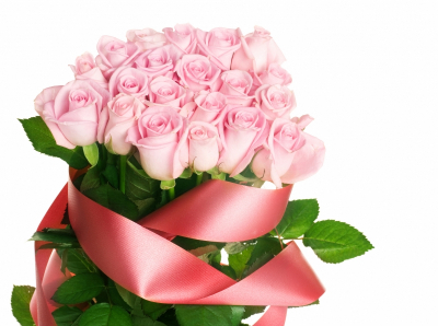 Roses Art Decor for Home Pink Roses with a pink ribbon Art. No: 10000007464