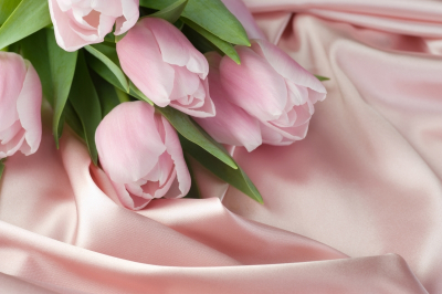 Tulips Art Home Decor Prints Pink Tulips On The Pink Atlas Art. No: 10000007481