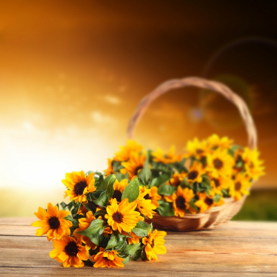 Sunflower Art & Photo Decor Basket of Orange Flowers Art. No: 10000007470