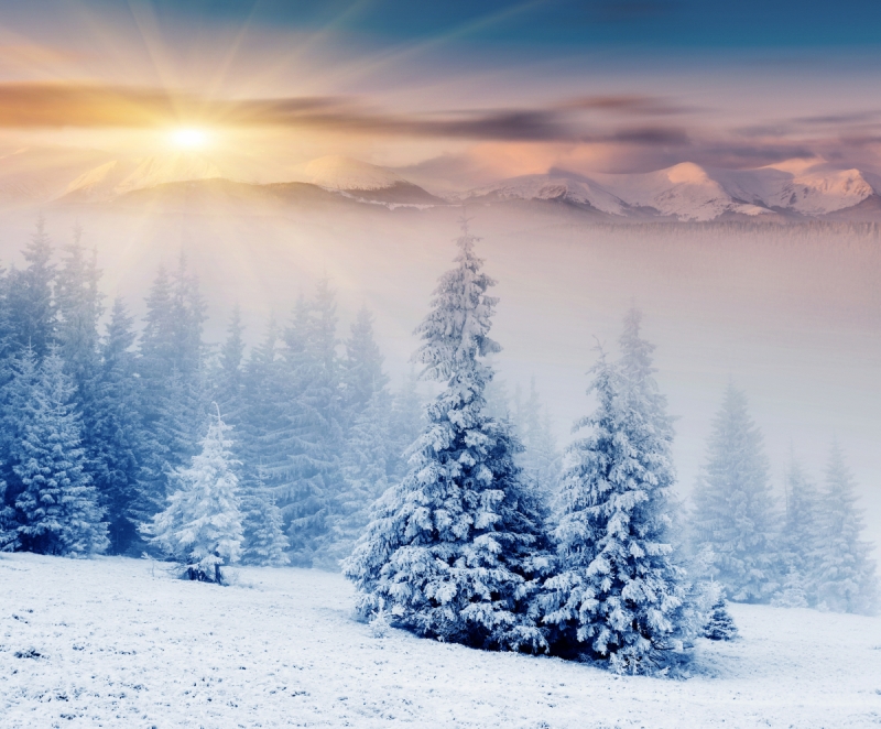 Forest wall murals & wallpaper Dawn behind the Snow-covered Mountains Art. No: 10000006369