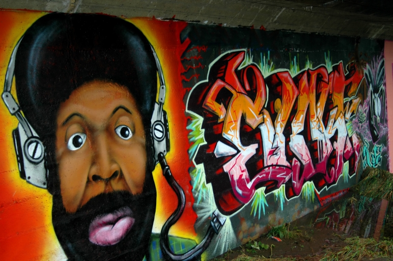 Graffiti&Urban wall murals & wallpaper Black in the Headphones Art. No: 10000006946