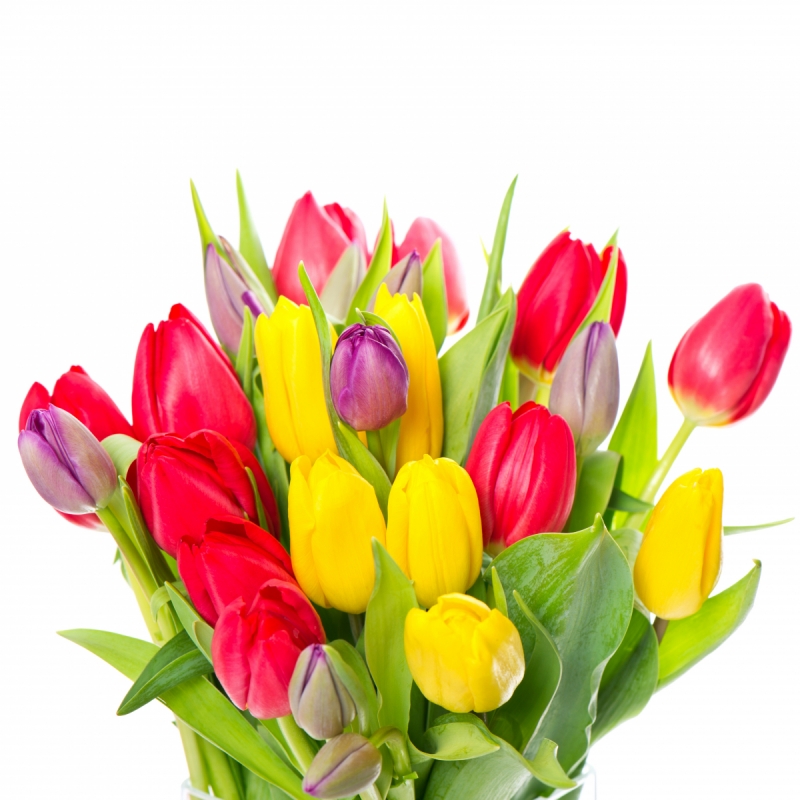 Tulips wall murals & flower wallpaper Bouquet of Tulips of Different Colors Art. No: 10000007478