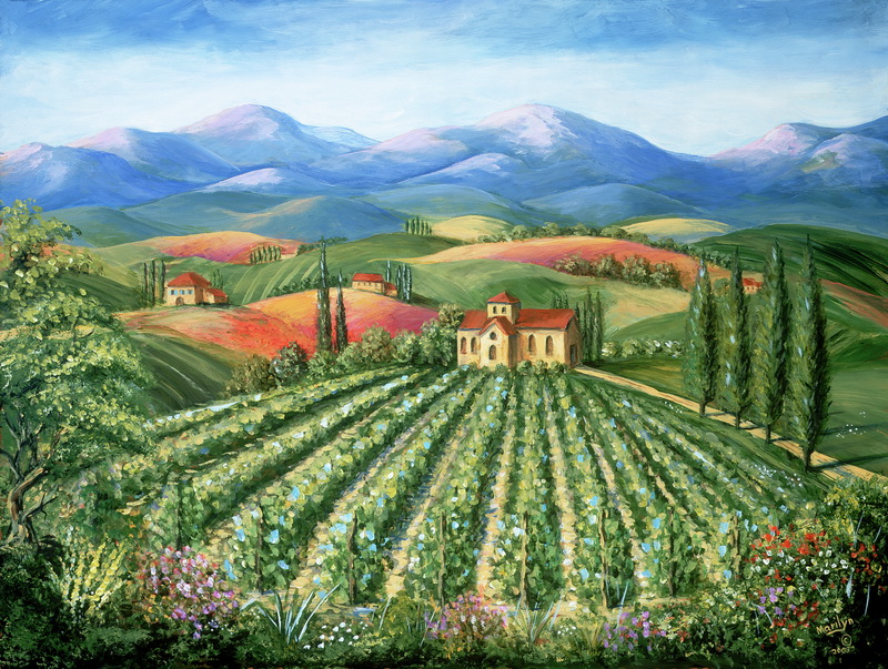 Painting Of Vineyards Tuscany - Marlyn Dunlap