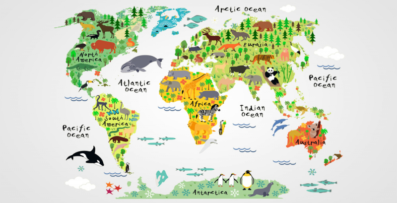 Maps and atlases Wall Murals & Wallpapers animals from all over the planet, Art. No:772676885307